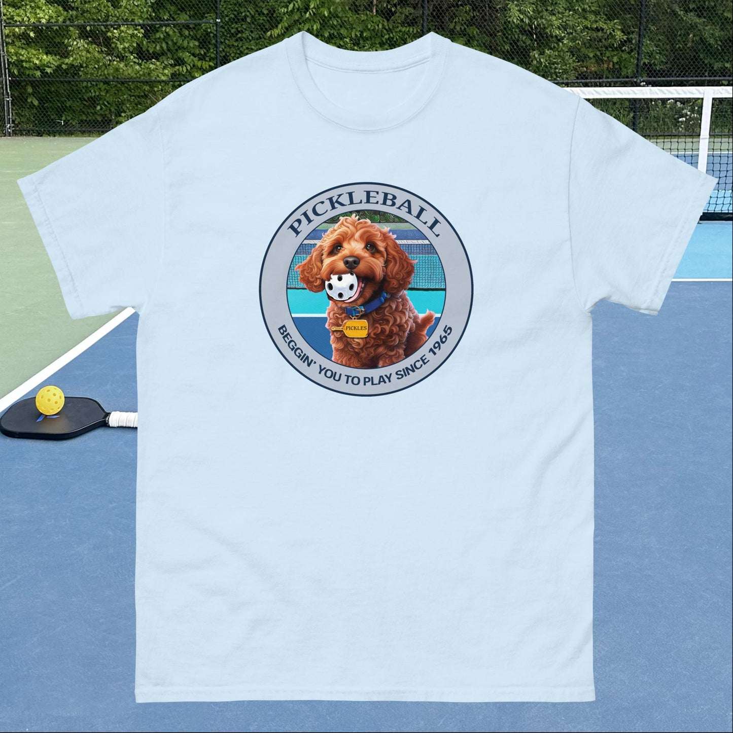 Light Blue Pickleball T-shirt, Pickles Beggin', Graphic on Front, Men's Classic Tee